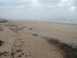 Surfside beach, Texas